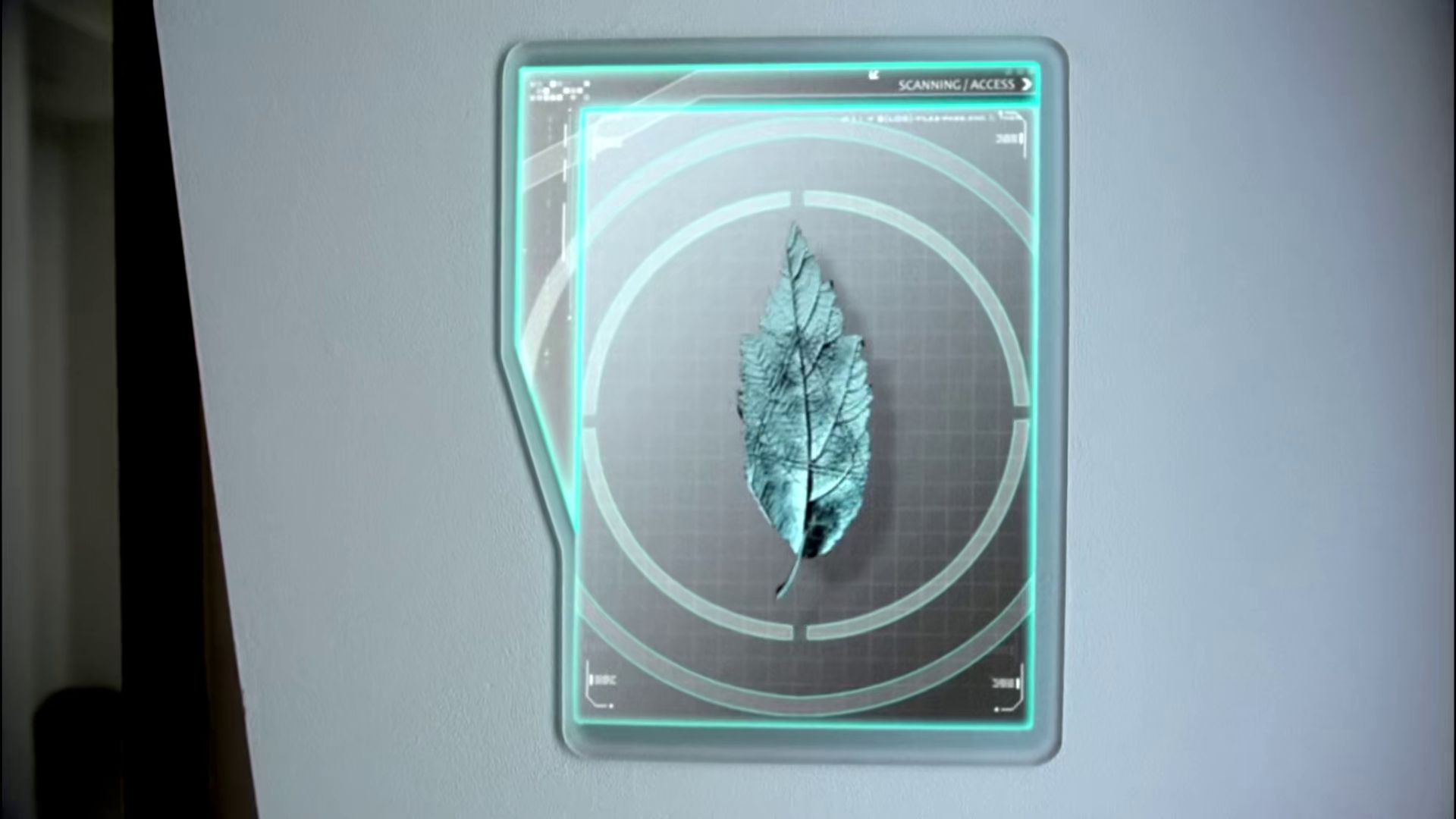 Connection: Leaf glyph