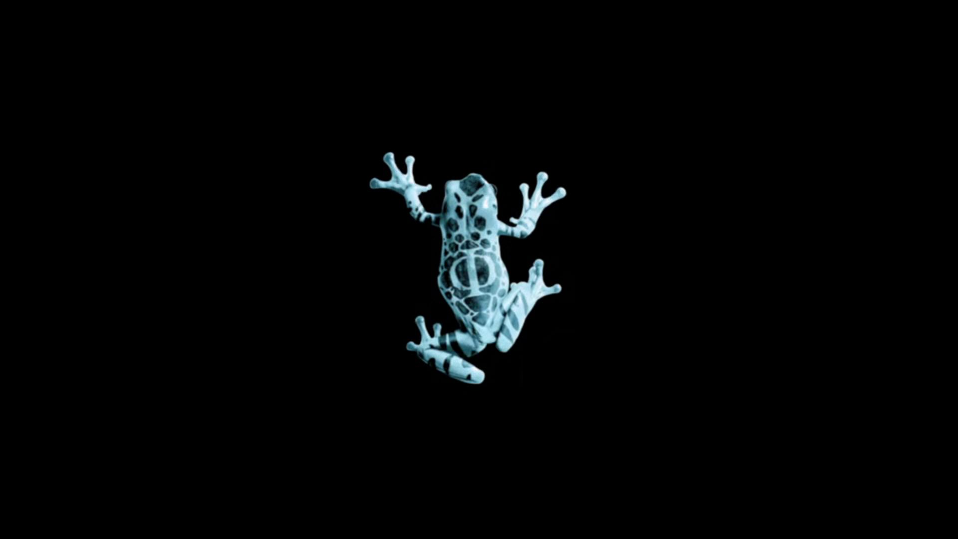 Original glyph: Frog