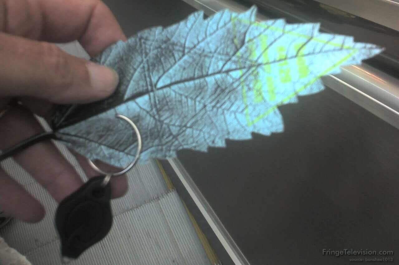 Leaf clue