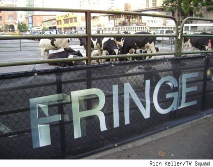 Fringe corral